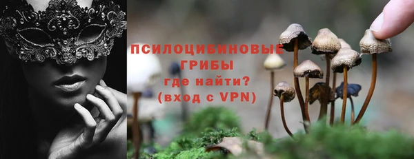 молекула духа Сафоново
