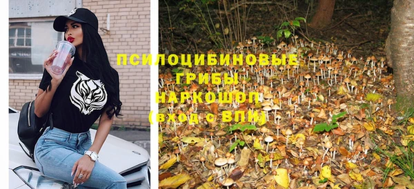 мет Аркадак