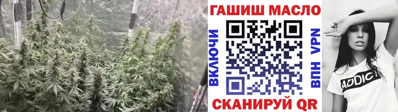 Дистиллят ТГК Wax  Аркадак 